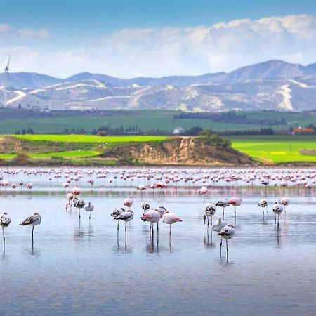 Dezo Luxury Town Apartment Larnaca Bagian luar foto